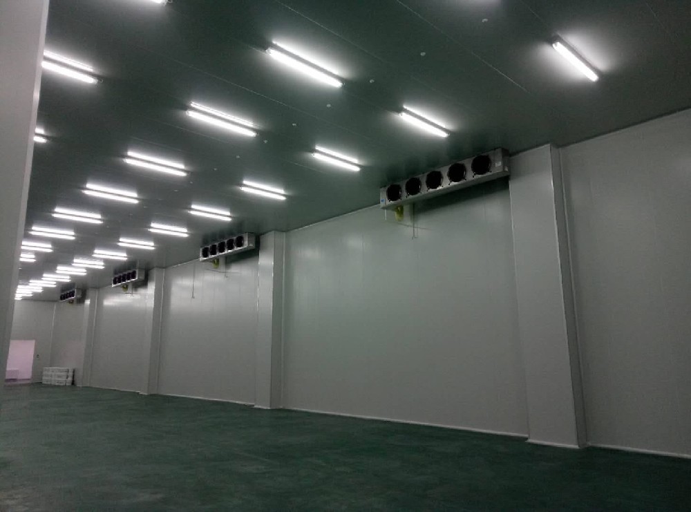 三甲醫(yī)院建造600m3藥品冷藏庫(kù)需要多少費(fèi)用？