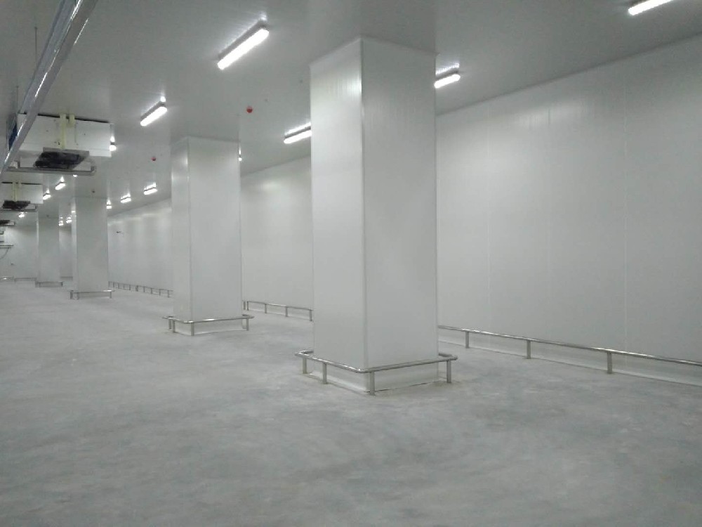 建造200噸的肉類冷鏈冷凍庫如何做好規劃設計？