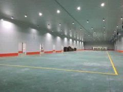 500噸山藥恒溫冷藏庫(kù)造價(jià)多少錢一平米，一天耗電量多少錢