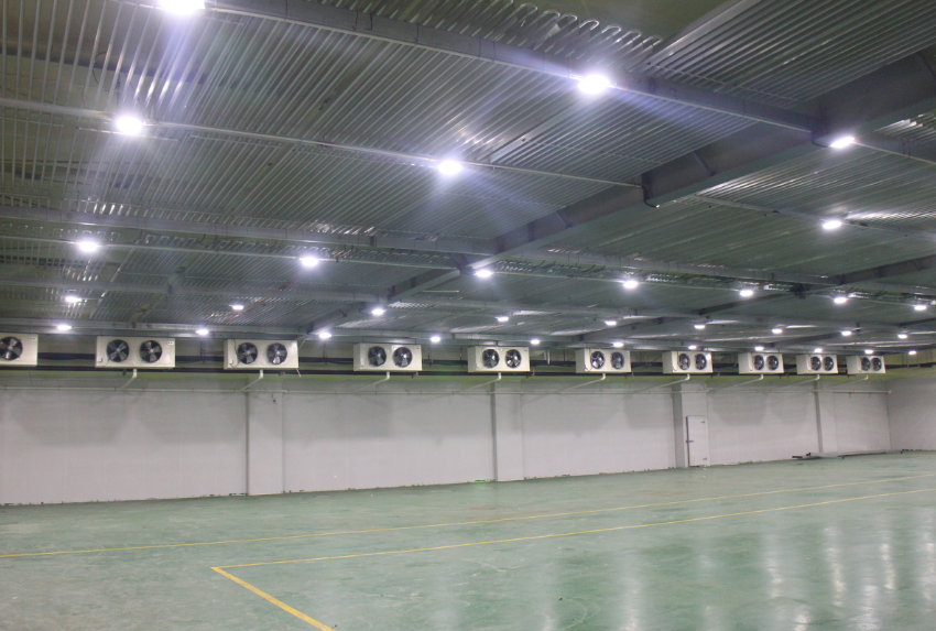 -18~-25℃冷庫設計建造價格,600噸冷凍庫造價