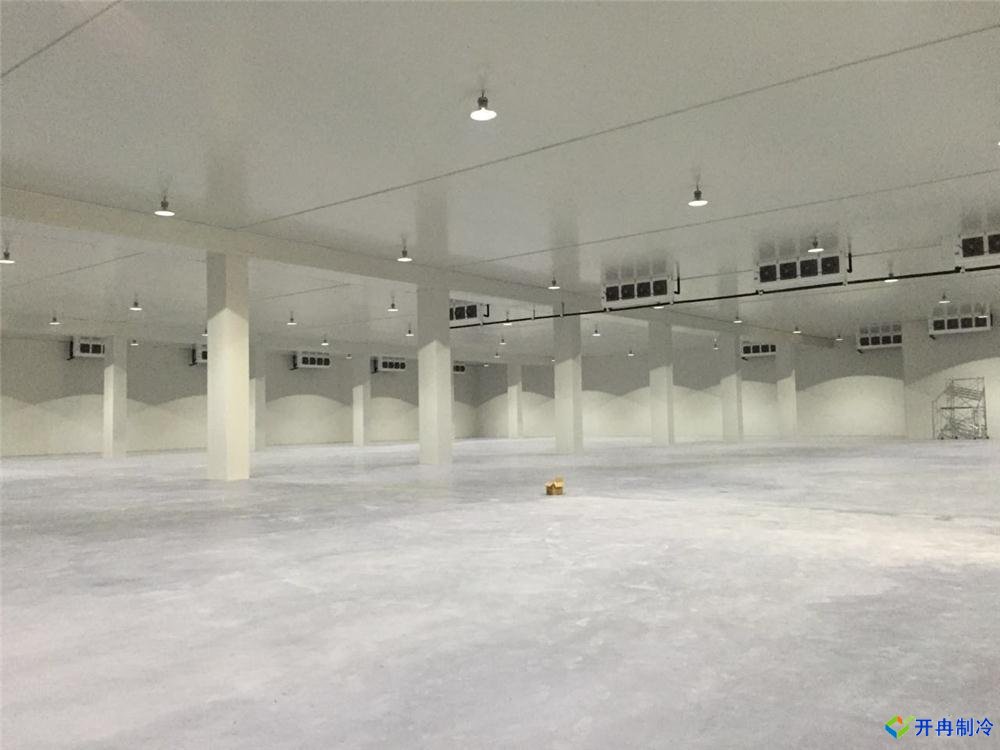 上海建500平米冷凍庫,冷庫造價成本多少錢