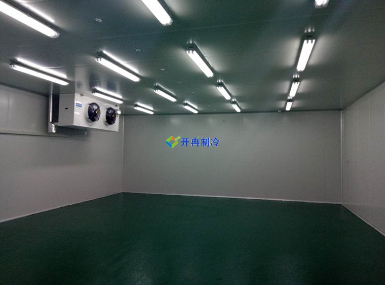 100m3血液冷庫溫度一般多少度，醫(yī)療冷庫報價  冷庫內(nèi)景圖片 